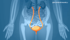Leia mais sobre o artigo Autonomic Dysreflexia (Disreflexia Autonômica)