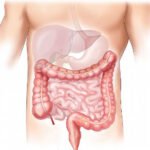 Leia mais sobre o artigo Guia de Função Intestinal Pós-Lesão Medular