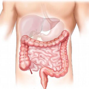 Leia mais sobre o artigo Guia de Função Intestinal Pós-Lesão Medular