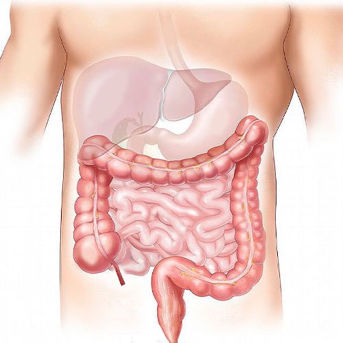 No momento, você está visualizando Guia de Função Intestinal Pós-Lesão Medular