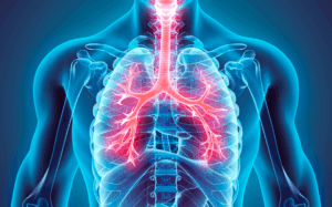 Leia mais sobre o artigo Respiração do LME