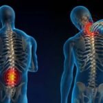 Leia mais sobre o artigo Lesão medula espinhal T12: causas e efeitos